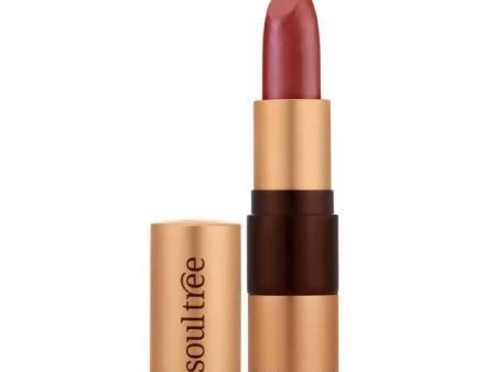 Soultree Ayurvedic Lipstick Wild Honey 811 Cheap