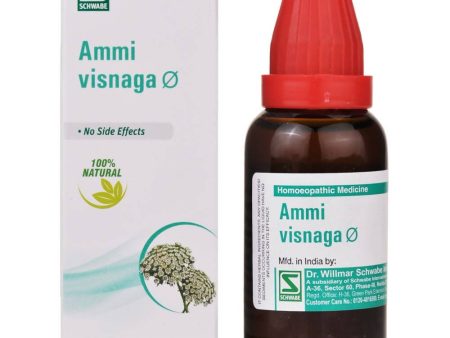 Dr. Willmar Schwabe India Ammi Visnaga Mother Tincture Q For Discount