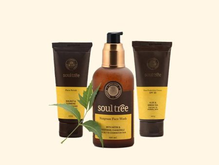 Soultree 3 - Step Skin Care Regimen For Men Hot on Sale