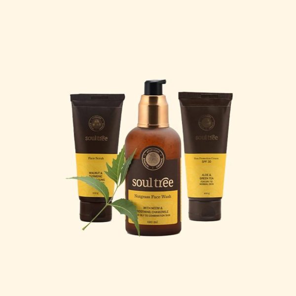 Soultree 3 - Step Skin Care Regimen For Men Hot on Sale