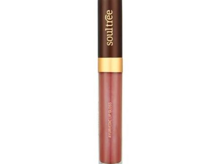 Soultree Ayurvedic Lip Gloss - Nude Pink Fashion