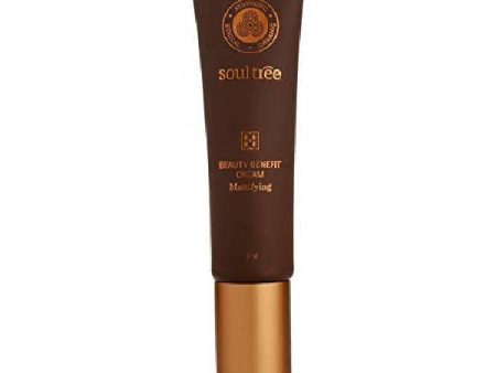 Soultree Ayurvedic Beauty Benefit (BB) Cream - Rich Honey For Discount