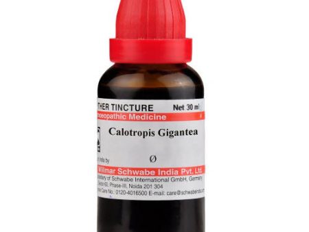 Dr. Willmar Schwabe India Calotropis Gigantea Mother Tincture Q Online Hot Sale