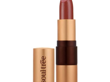 Soultree Ayurvedic Lipstick Rose Clay 610 For Sale