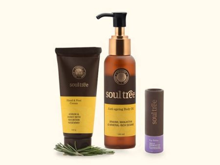 Soultree Nourishing Body Care Kit Cheap