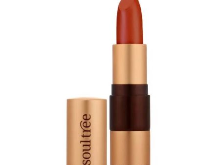 Soultree Ayurvedic Lipstick True Brick 813 Cheap