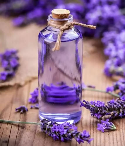 The Wellness Shop Pure Lavender Water Hot on Sale