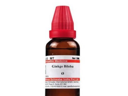 Dr. Willmar Schwabe India Ginkgo Biloba Mother Tincture Q Discount