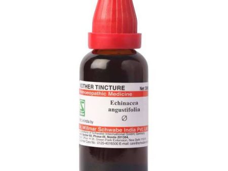 Dr. Willmar Schwabe India Echinacea Angustifolia Mother Tincture Q Online