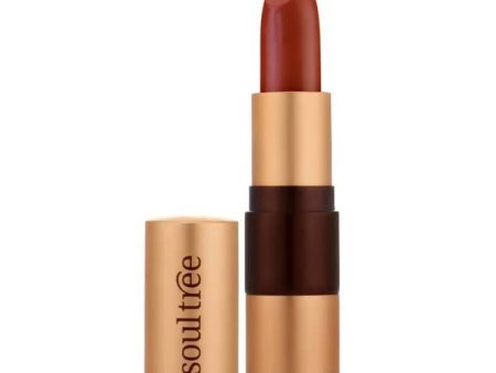 Soultree Ayurvedic Lipstick Rich Earth 777 Cheap