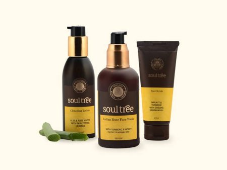 Soultree Cleansing Lotion, Indian Rose Face Wash & Walnut And Turmeric Face Scrub Set Online Hot Sale