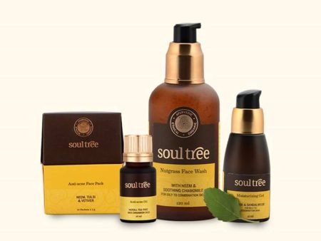 Soultree Anti-Acne Regimen Discount