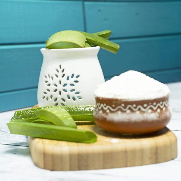 The Wellness Shop Organic Aloe Vera Gel Powder Online now