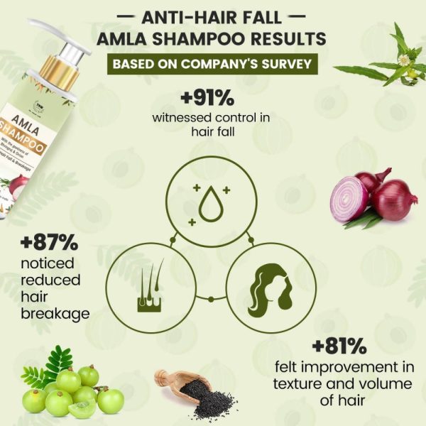 The Natural Wash Amla Shampoo For Discount