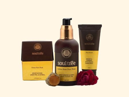 Soultree 3 - Step Complete Detan Regimen For Discount