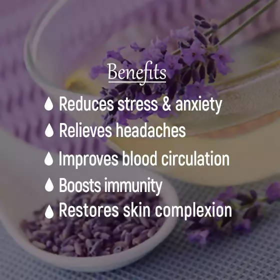 The Wellness Shop Lavender Oil Online Sale