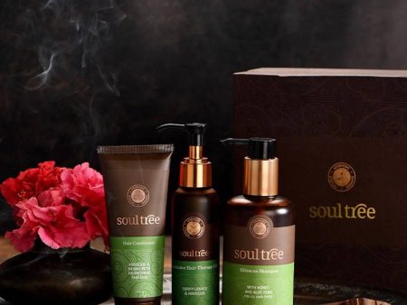 Soultree Intensive Hair Therapy Gift Box For Cheap